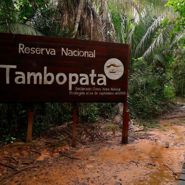 Tours en Tambopata desde Costa Rica