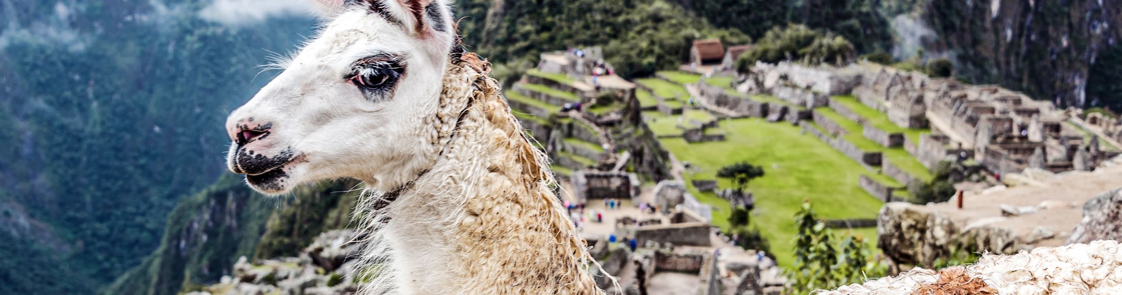Machu Picchu 8D7N Viajero (Full Cultural) desde Costa Rica
